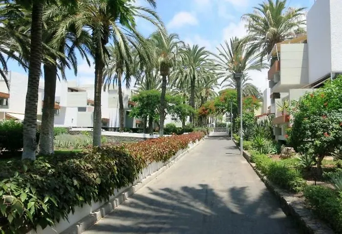 South Tenerife 471
